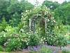 beautiful-garden.jpg